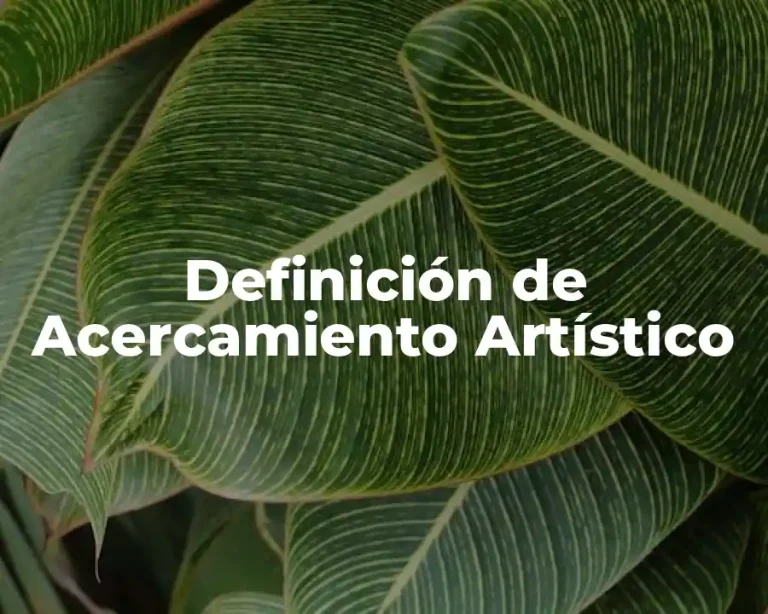 Definición de Acercamiento Artístico