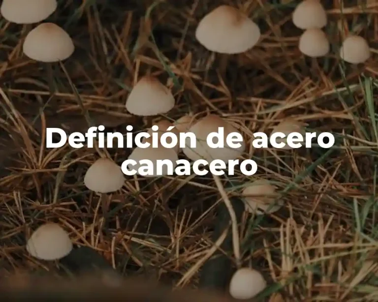 Definición de acero canacero