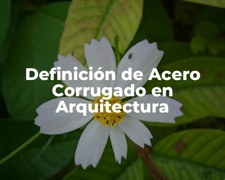 Definición de Acero Corrugado en Arquitectura