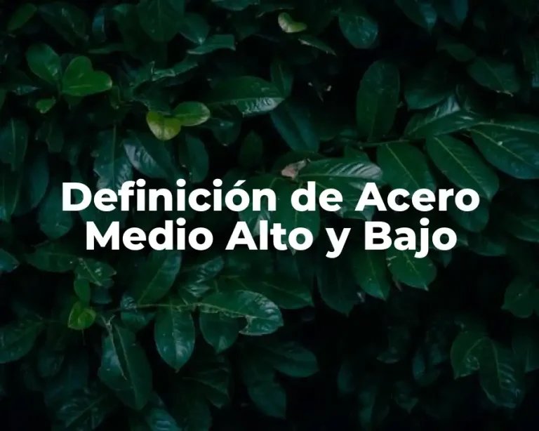 Definición de Acero Medio Alto y Bajo