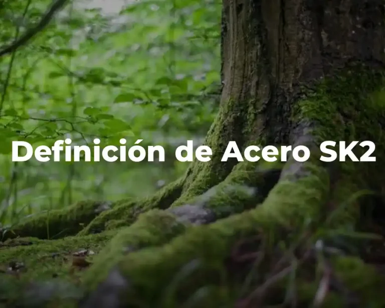 Definición de Acero SK2
