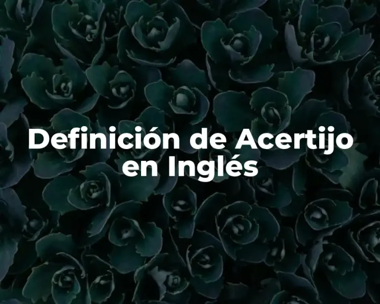 Definición de Acertijo en Inglés