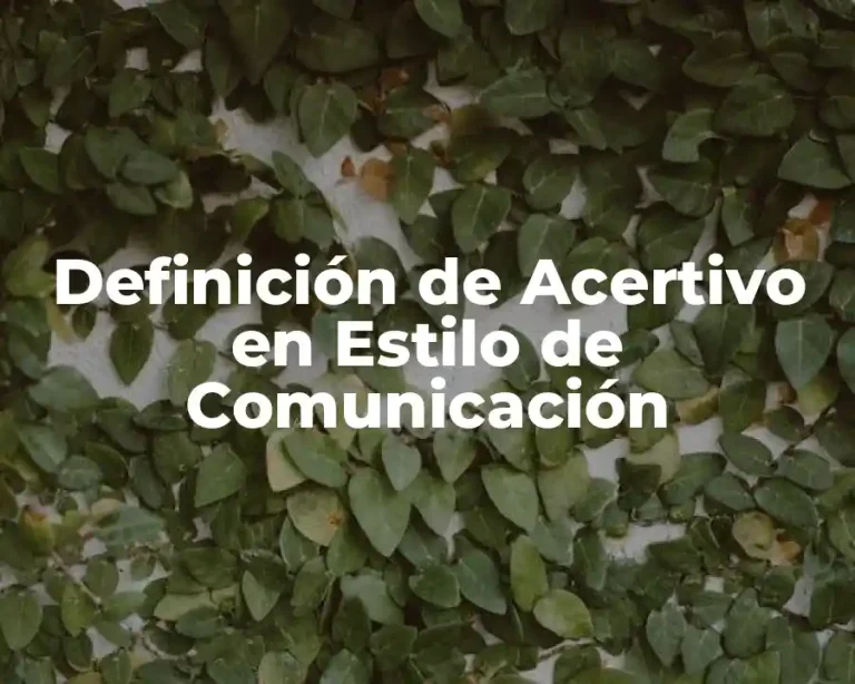 Definición de Acertivo en Estilo de Comunicación