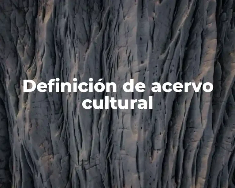 Definición de acervo cultural