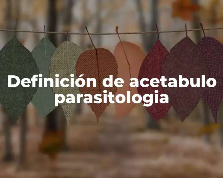 Definición de acetabulo parasitologia