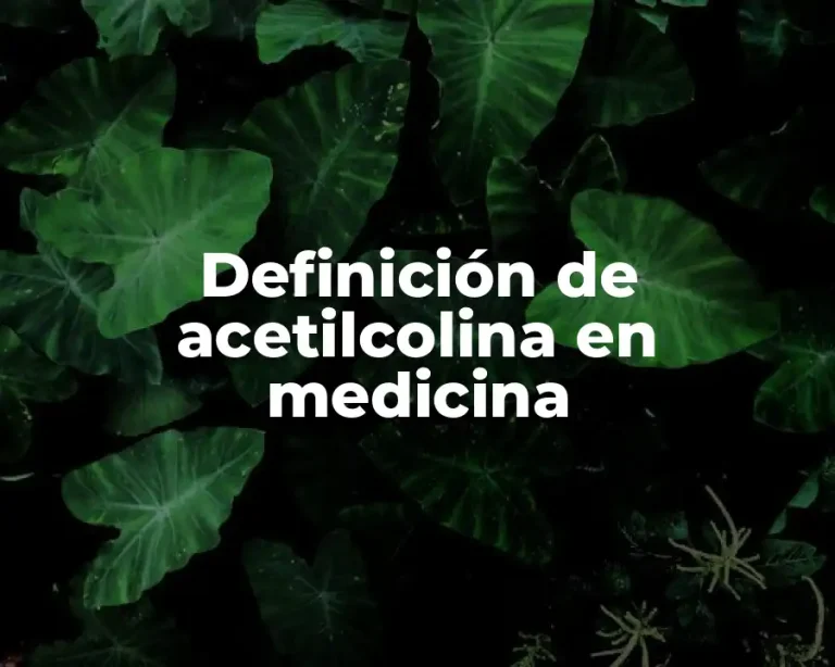 Definición de acetilcolina en medicina