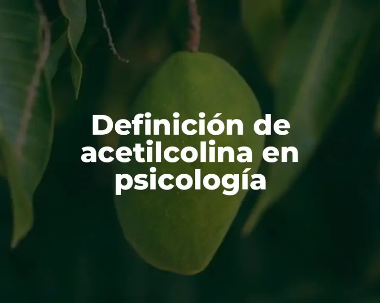 Definición de acetilcolina en psicología