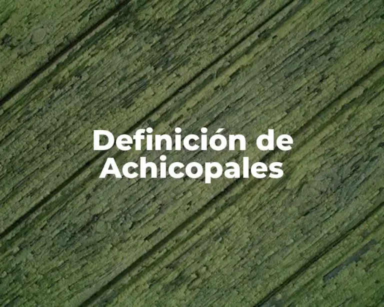 Definición de Achicopales
