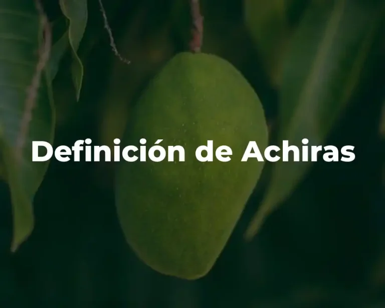 Definición de Achiras