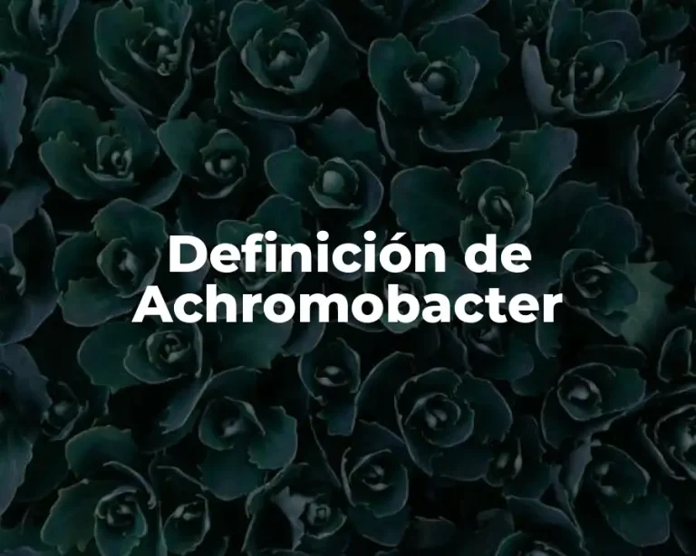 Definición de Achromobacter