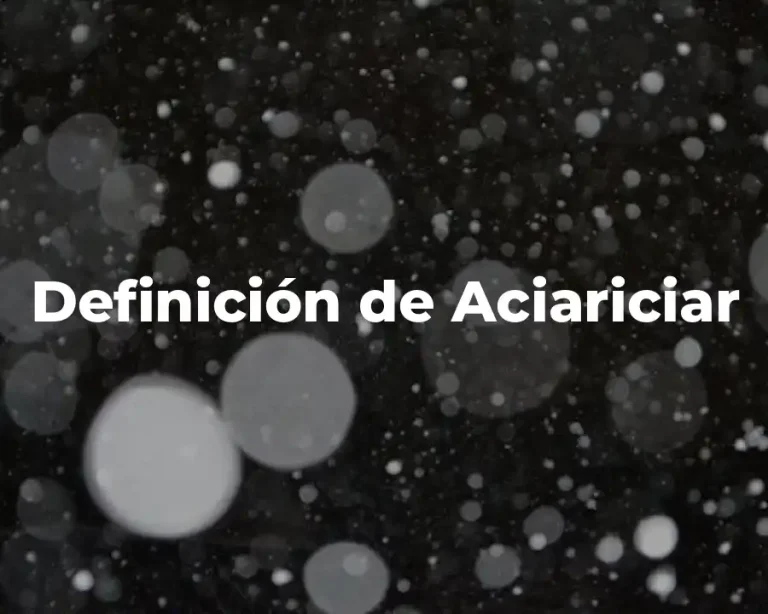 Definición de Aciariciar