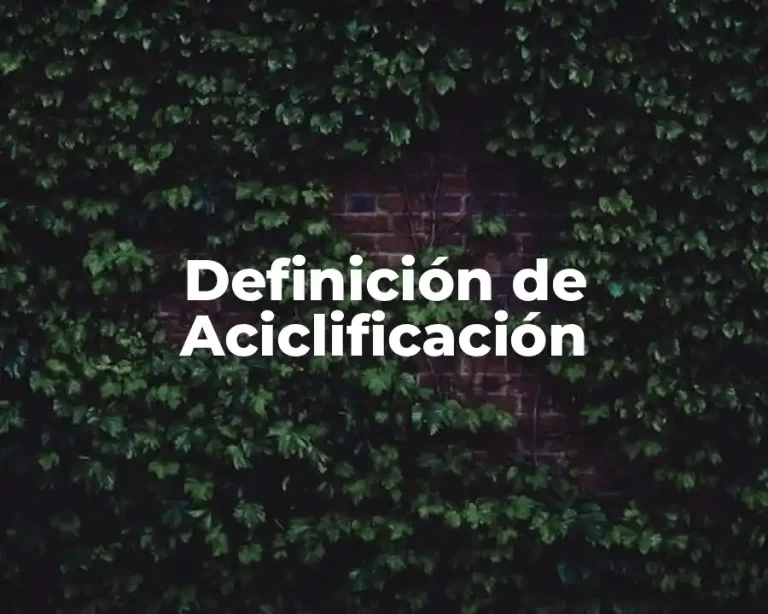 Definición de Aciclificación