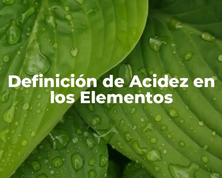 Definición de Acidez en los Elementos