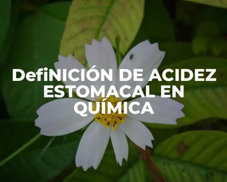 DefiNICIÓN DE ACIDEZ ESTOMACAL EN QUÍMICA