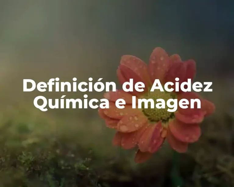 Definición de Acidez Química e Imagen
