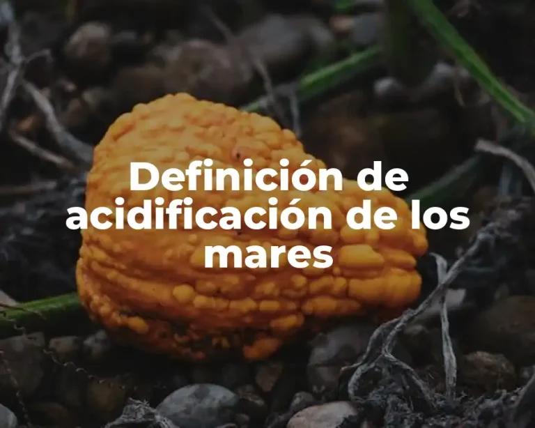 Definición de acidificación de los mares
