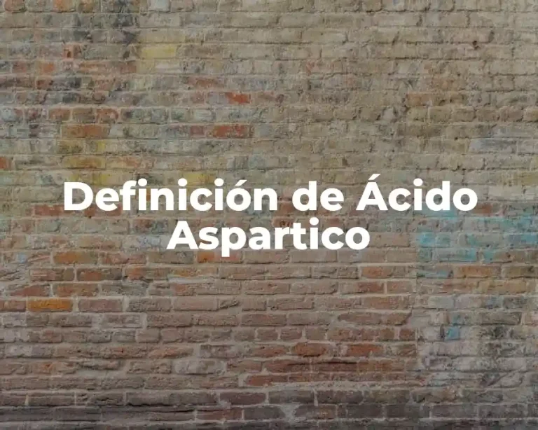 Definición de Ácido Aspartico