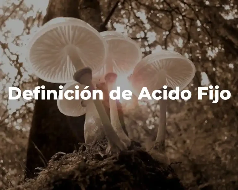 Definición de Acido Fijo