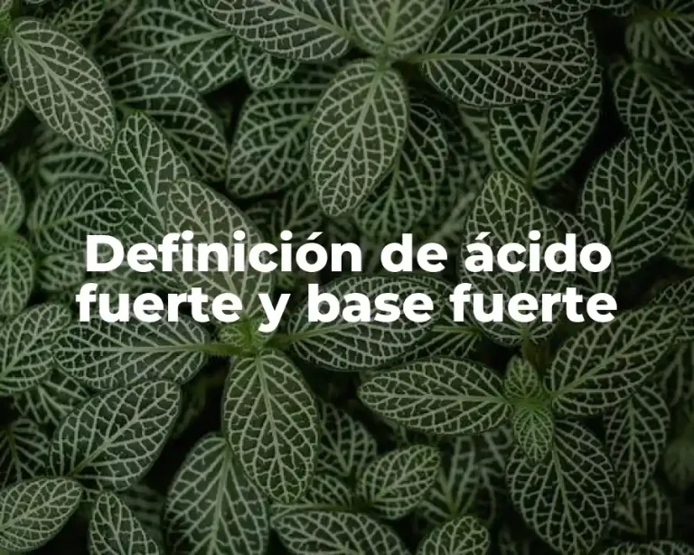 Definición de ácido fuerte y base fuerte