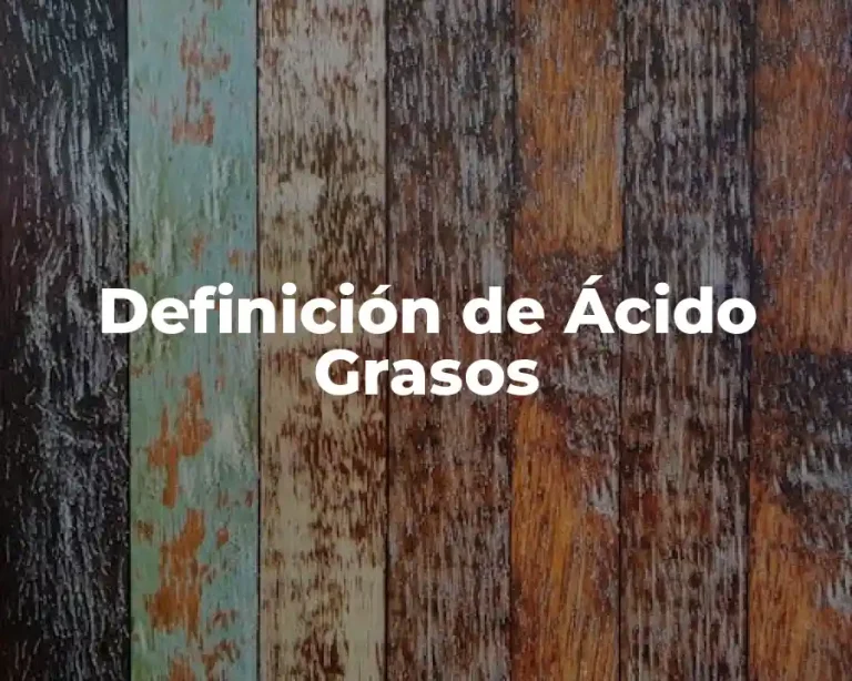 Definición de Ácido Grasos