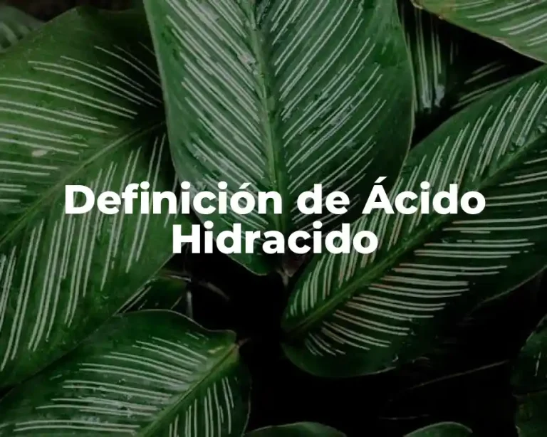 Definición de Ácido Hidracido