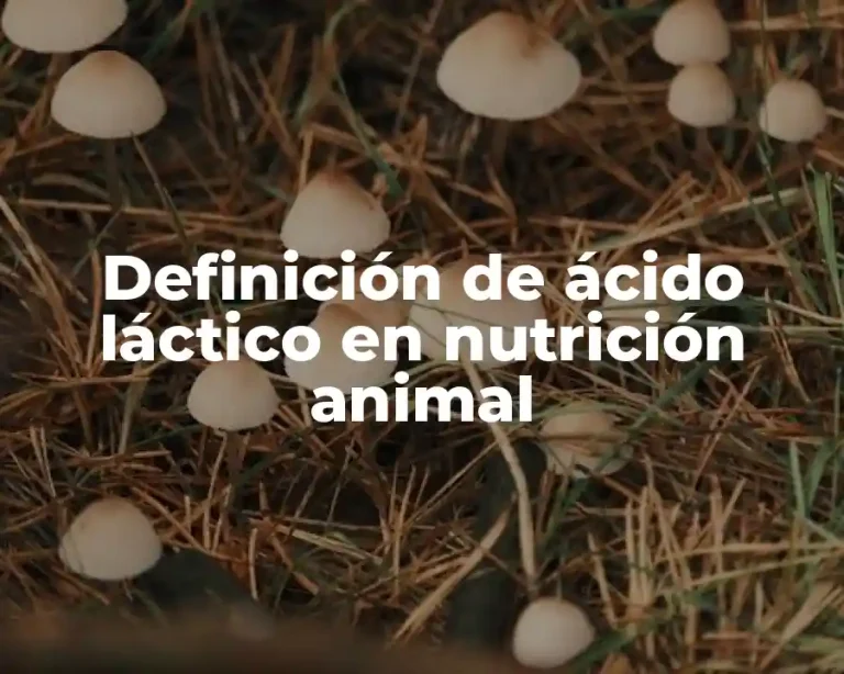 Definición de ácido láctico en nutrición animal