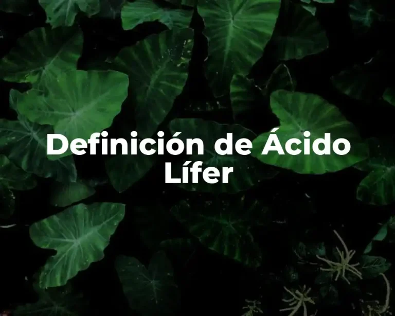 Definición de Ácido Lífer