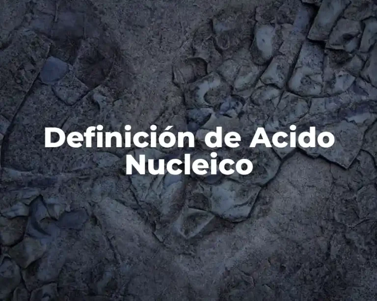 Definición de Acido Nucleico