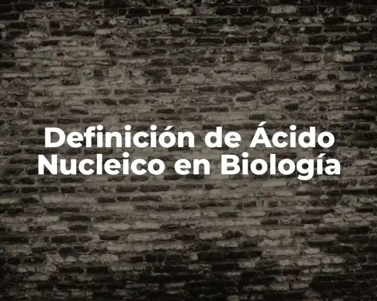 Definición de Ácido Nucleico en Biología