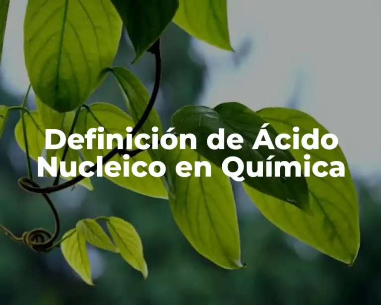 Definición de Ácido Nucleico en Química