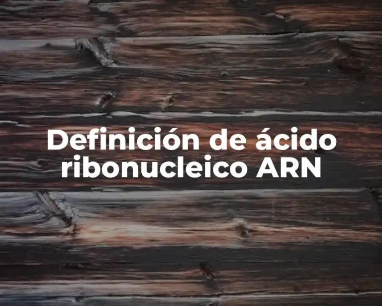 Definición de ácido ribonucleico ARN
