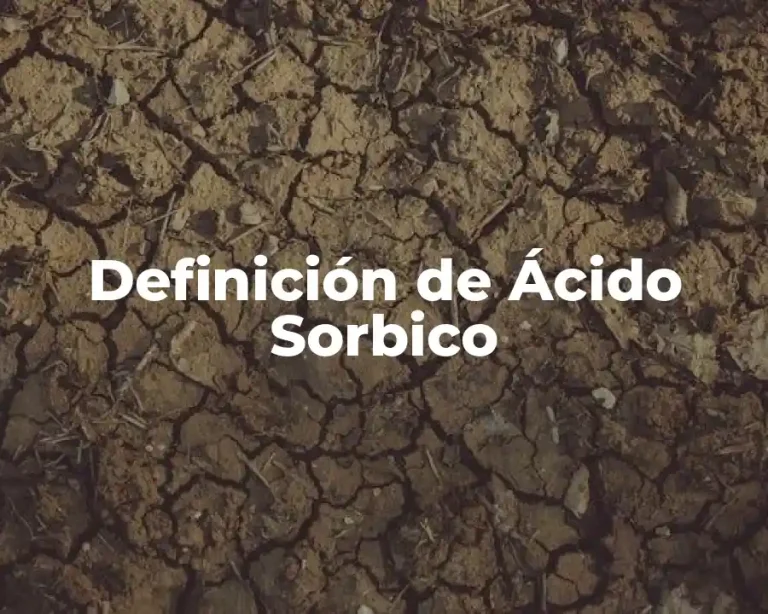 Definición de Ácido Sorbico