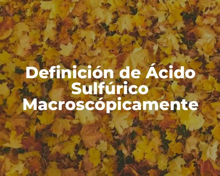 Definición de Ácido Sulfúrico Macroscópicamente