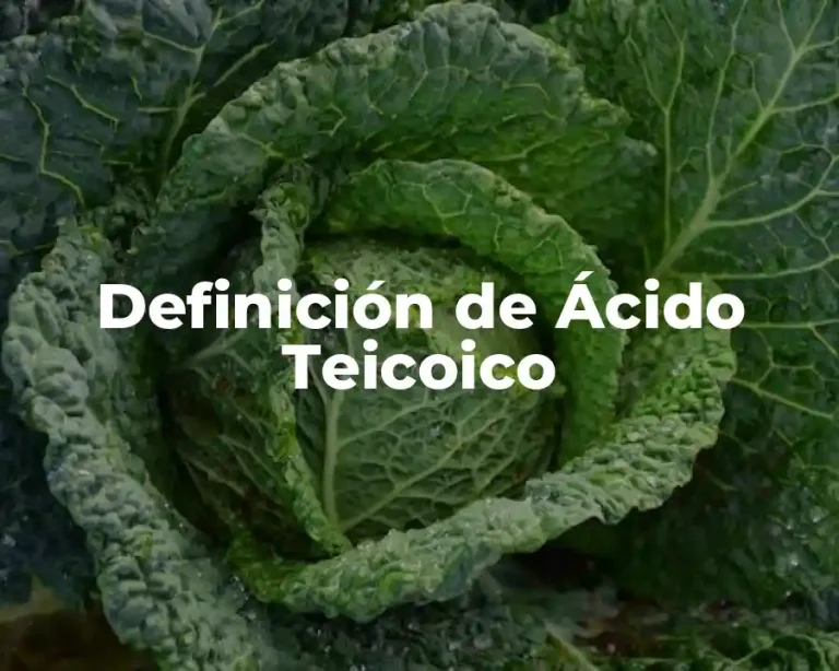 Definición de Ácido Teicoico