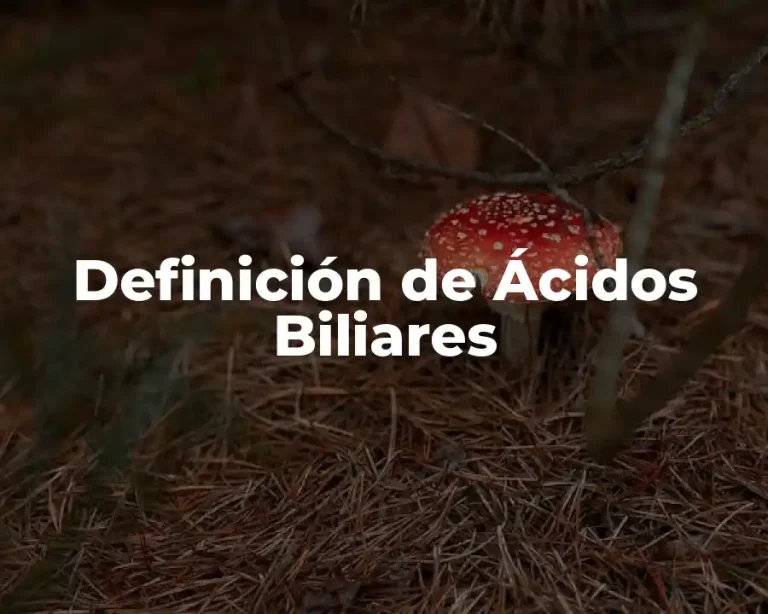 Definición de Ácidos Biliares