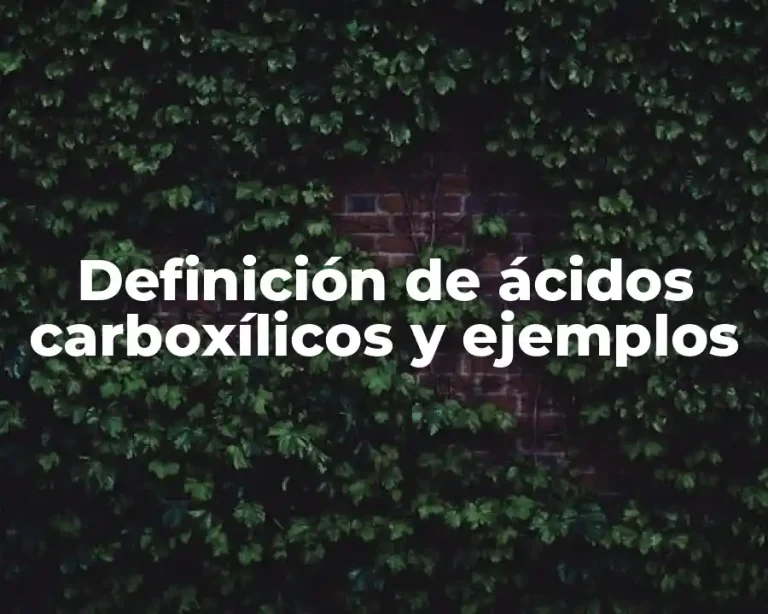 Definición de ácidos carboxílicos y ejemplos