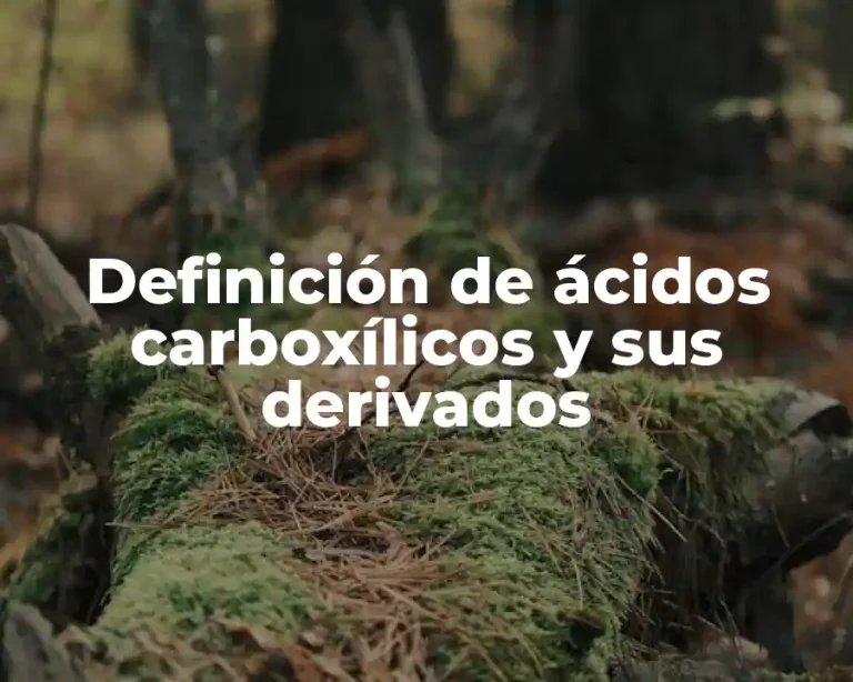 Definición de ácidos carboxílicos y sus derivados