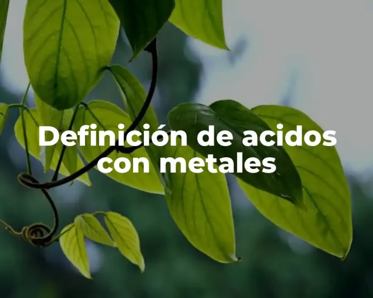Definición de acidos con metales