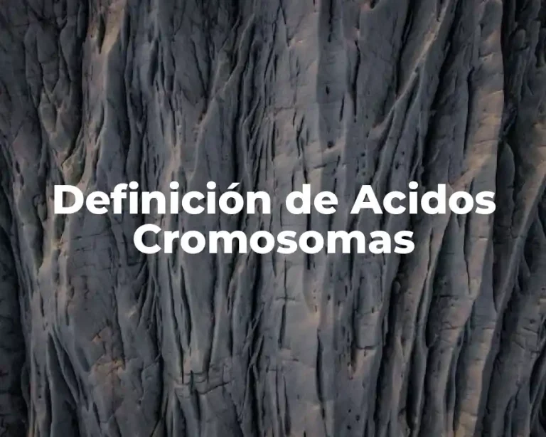 Definición de Acidos Cromosomas