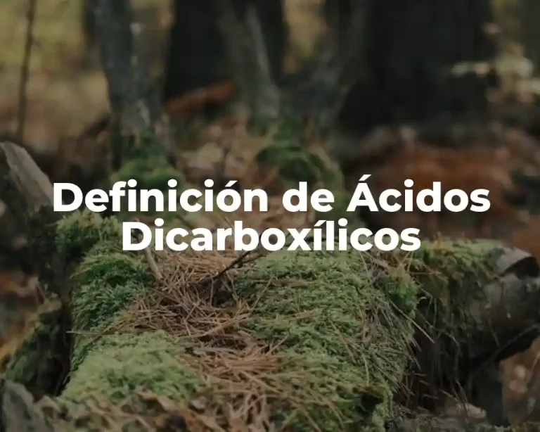 Definición de Ácidos Dicarboxílicos