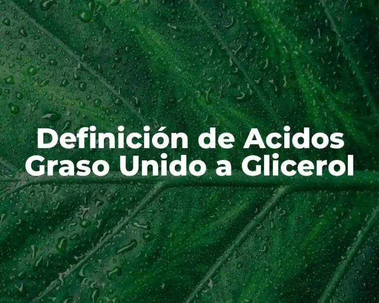 Definición de Acidos Graso Unido a Glicerol