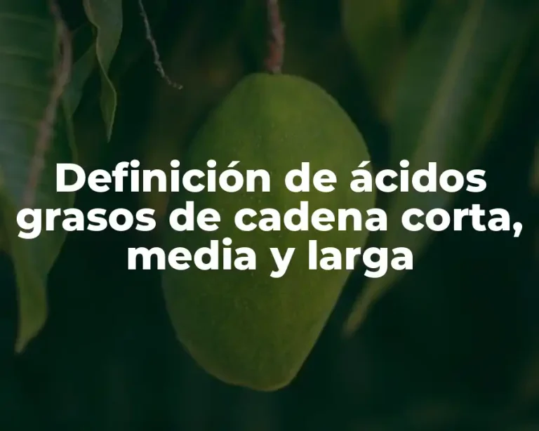Definición de ácidos grasos de cadena corta, media y larga
