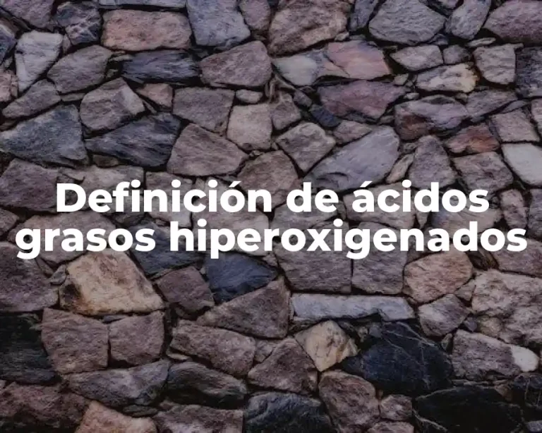 Definición de ácidos grasos hiperoxigenados