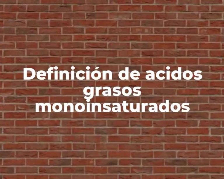 Definición de acidos grasos monoinsaturados