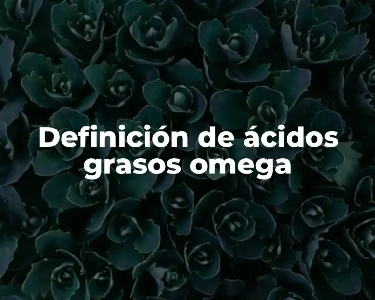 Definición de ácidos grasos omega