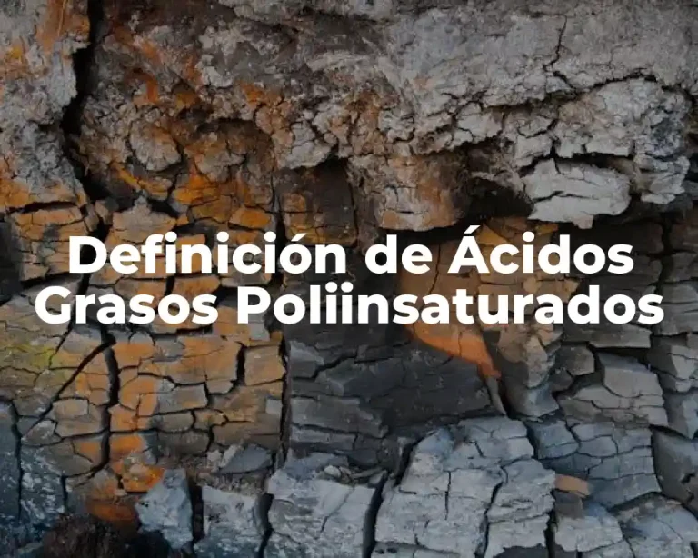 Definición de Ácidos Grasos Poliinsaturados