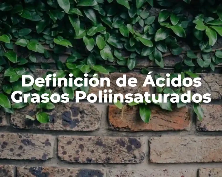 Definición de Ácidos Grasos Poliinsaturados