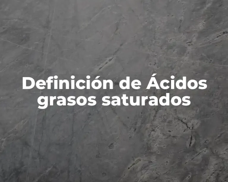 Definición de Ácidos grasos saturados