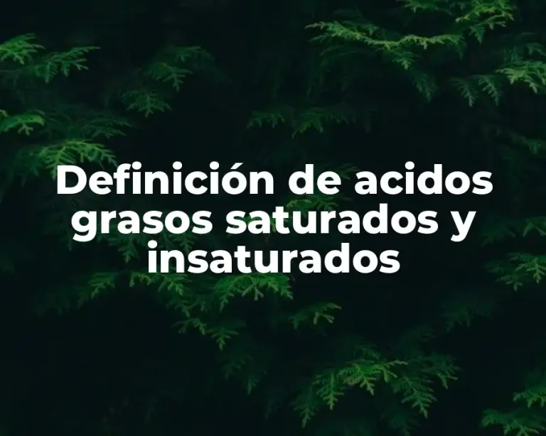 Definición de acidos grasos saturados y insaturados