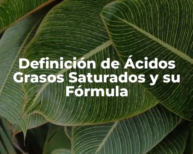 Definición de Ácidos Grasos Saturados y su Fórmula